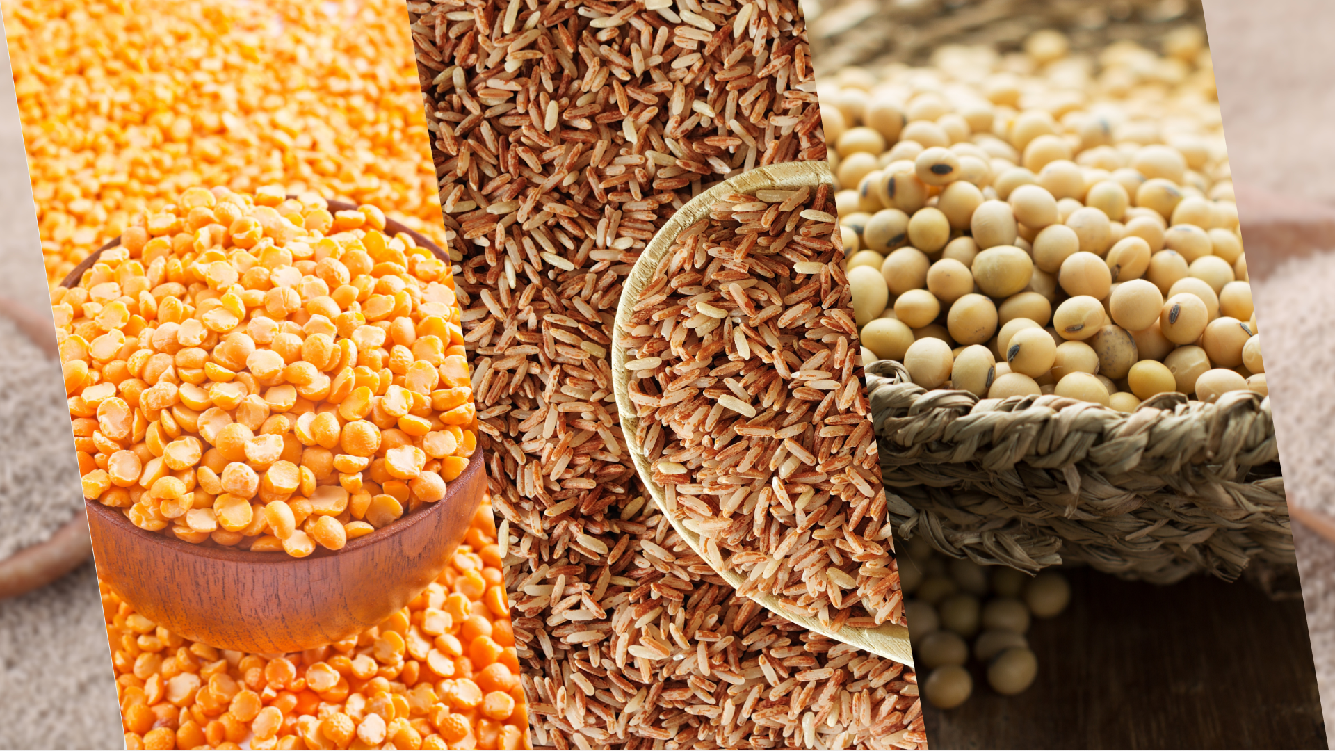 pea protein peptide, rice protein peptide, and soy protein peptide